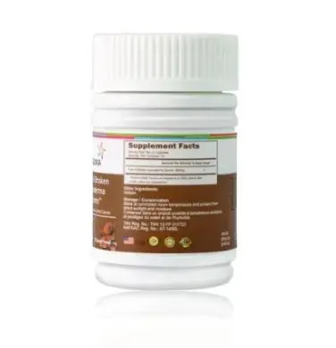 Ganoderma Spores - 3.webp