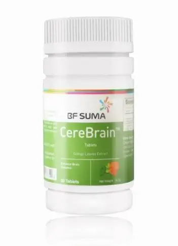 CereBrain - 3.webp