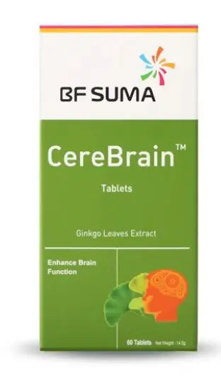 CereBrain.webp