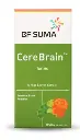CereBrain.webp