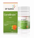 CereBrain
